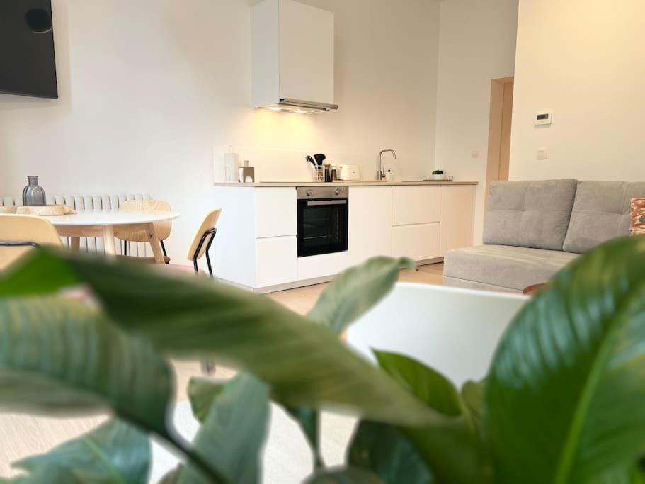 L'Escapade Chic - Cathedrale, Saint Lambert Apartment Liege Bagian luar foto